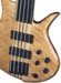 fretless_1